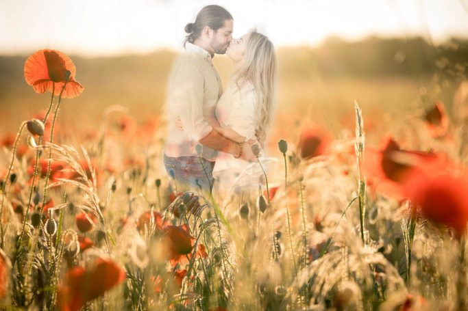 A couple embraces in a sunlit field of flowers.
